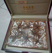 晓晨熙熙